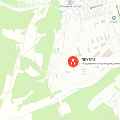 ЛИУ-8 Талицы ЛИУ-8 Талицы